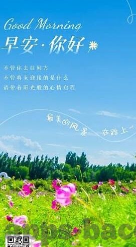 国彩足球比分-国彩足球比分，激情与理性交织的绿茵盛宴